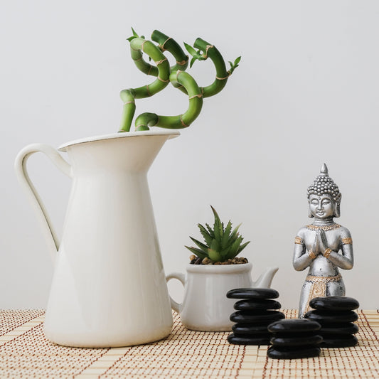 10 Feng Shui Hacks for a Balanced & Aesthetic Home